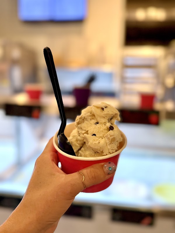 Creams & Crumbs